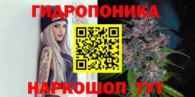 Альфа ПВП Партизанск
