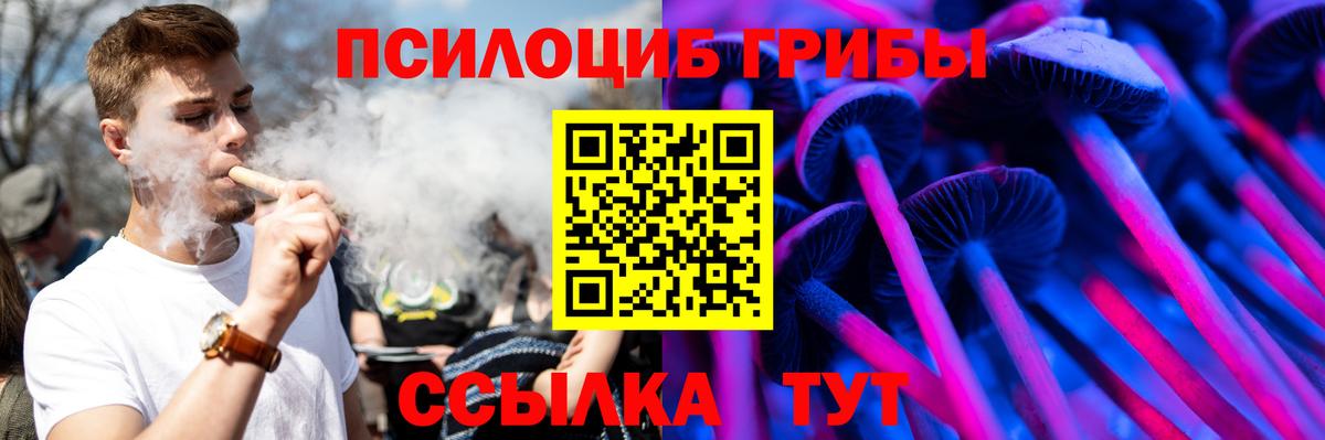 Саяногорск  Галлюциногенные грибы Psilocybe  Вход с VPN  Галлюциногенные грибы прущие грибы 